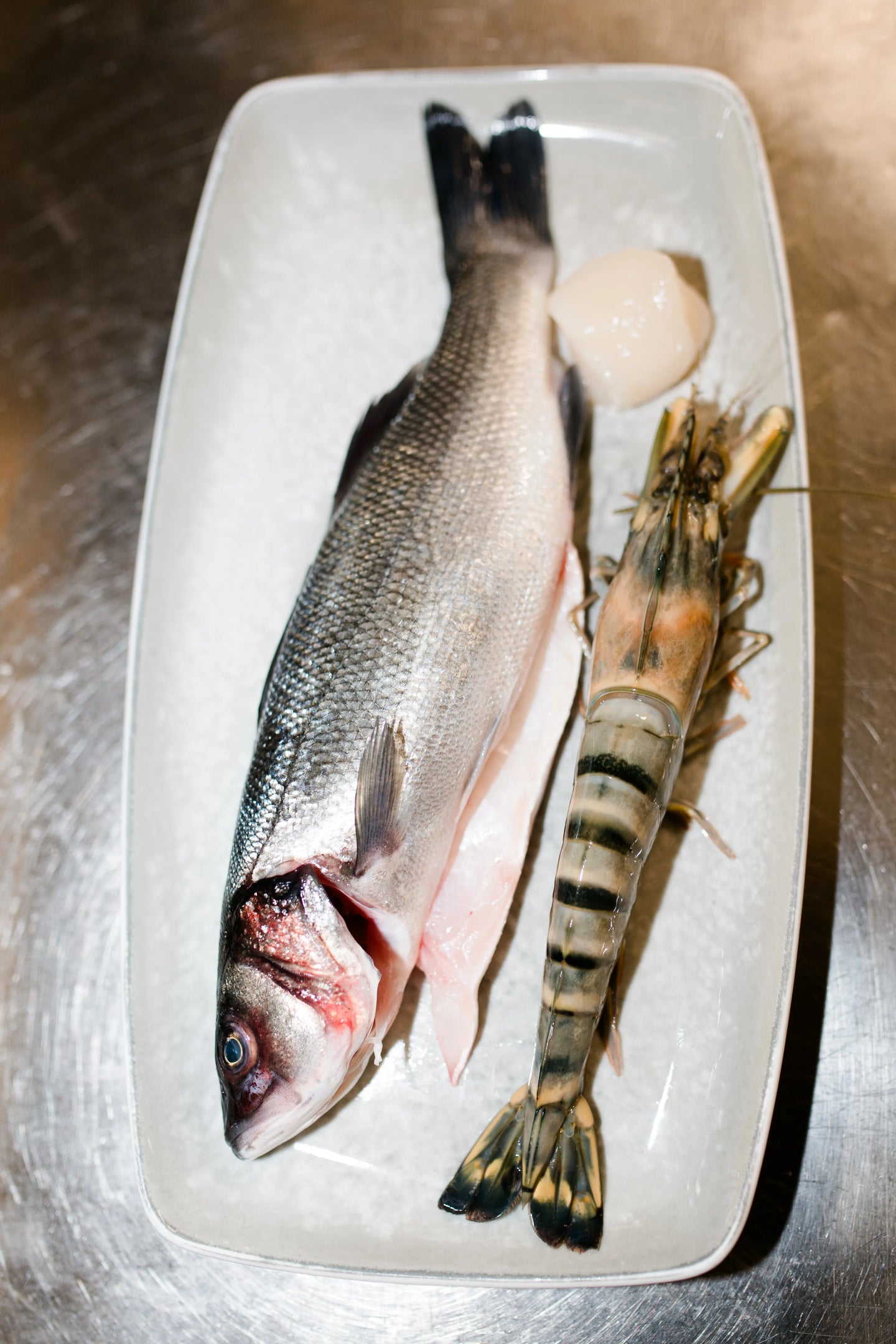 Frische Meeresfrüchte aus der Küche des Buonissimo Neu-Ulm: Ein ausgenommenes, silberglänzendes Fischfilet (Wolfsbarsch), daneben eine rohe Tiger-Riesengarnele mit gestreiftem Panzer und im oberen Bereich eine ausgelöste Jakobsmuschel. Die Zutaten sind auf einem rechteckigen, hellgrauen Keramikteller präsentiert.