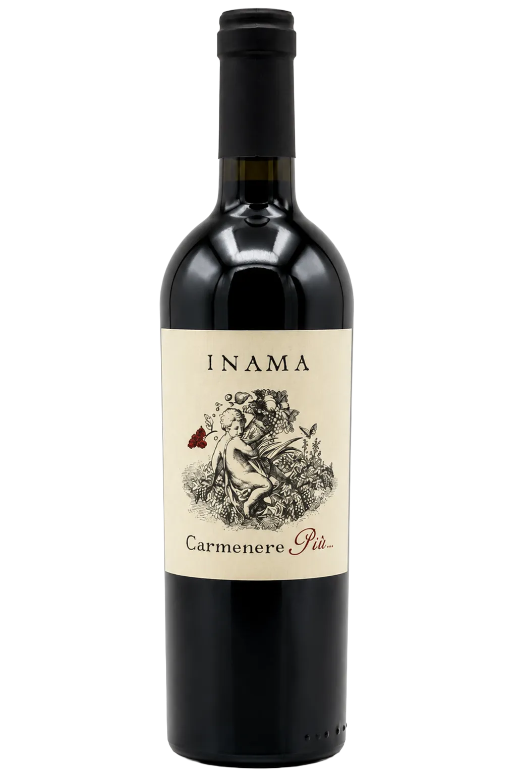 Inama Carmenère Più Veneto IGT, Rotwein aus Venetien